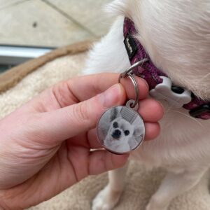 Personalised Photo Engraved Pet Id Tag.